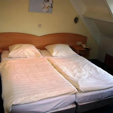 Oke De Leygraaf Heeswijk Dinther Hotel