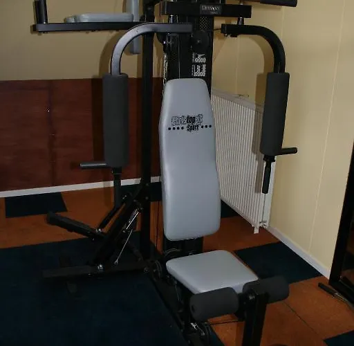 Hotel Oke De Leygraaf Heeswijk Dinther 3*