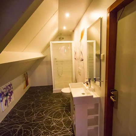Hotel Oke De Leygraaf Heeswijk Dinther 3*